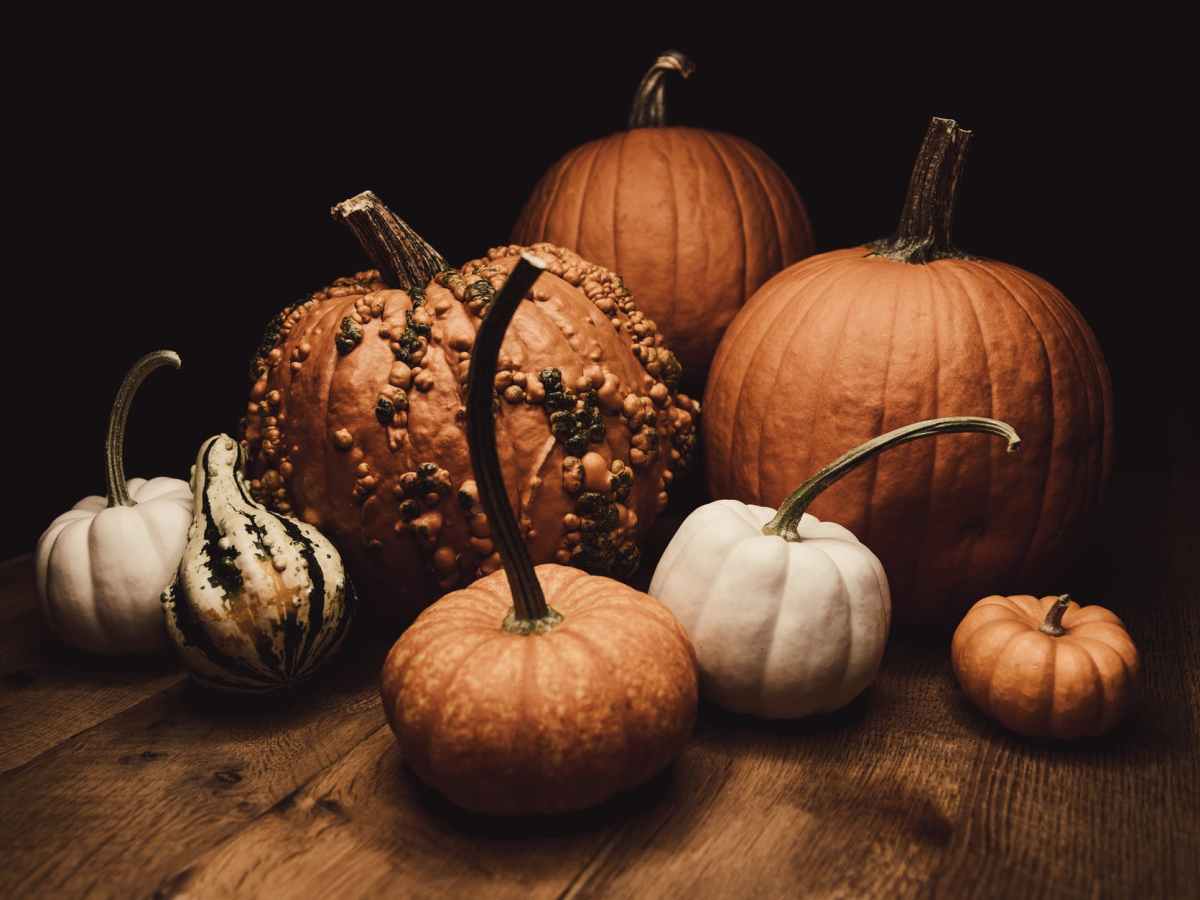 Pumpkins File Lawsuit After Trader Joe’s Releases 2022 Pumpkin&nbsp;Products